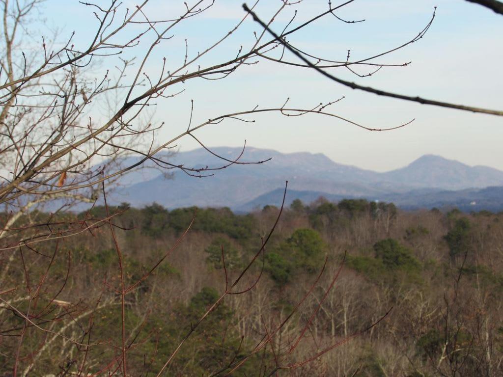 View! Cozy, Private, Fireplace, Hot Tub Log Cabin, Honeymoon! Sevierville Exterior foto