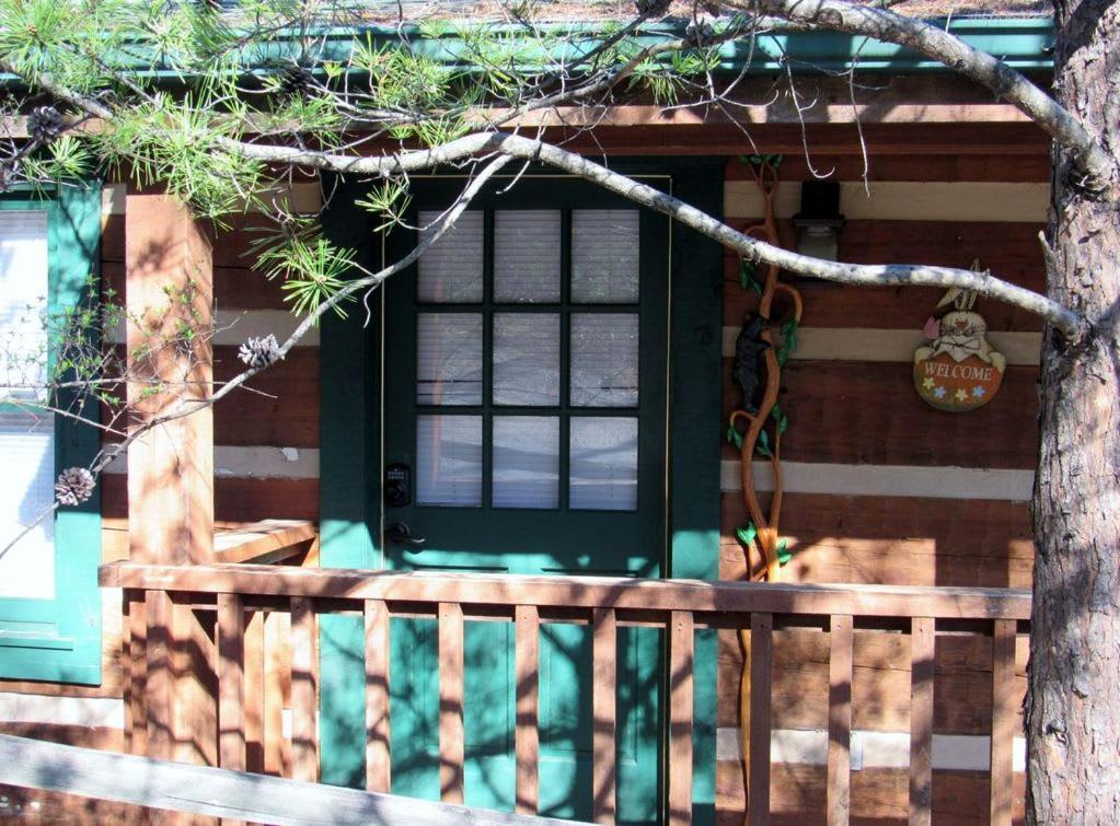 View! Cozy, Private, Fireplace, Hot Tub Log Cabin, Honeymoon! Sevierville Exterior foto